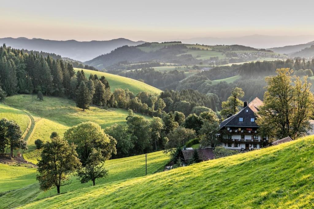 Sieben Tannen Titisee + Hochschwarzwald Card Apartment Екстериор снимка