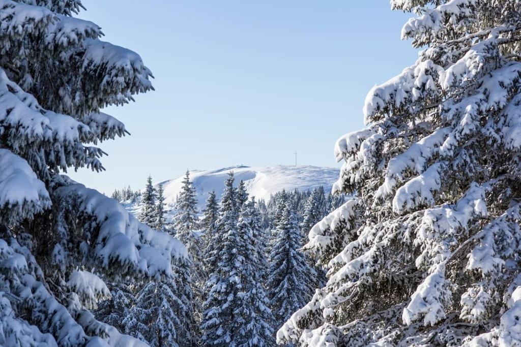 Sieben Tannen Titisee + Hochschwarzwald Card Apartment Екстериор снимка