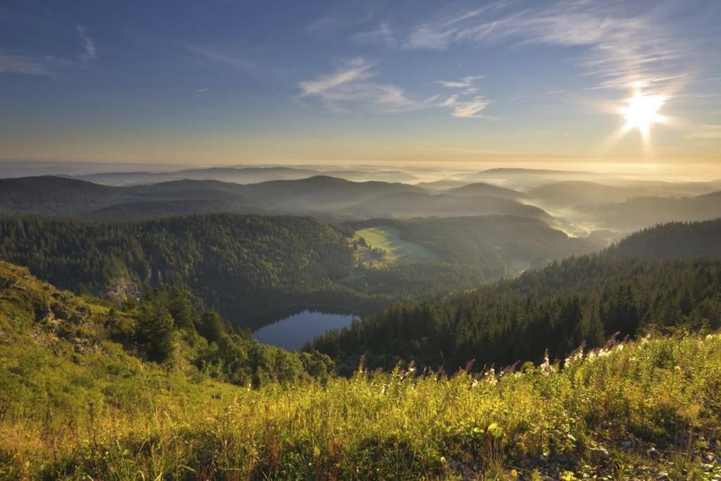 Sieben Tannen Titisee + Hochschwarzwald Card Apartment Екстериор снимка